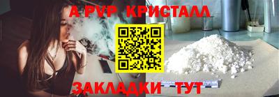 кокс Кингисепп