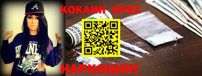 кокс Кингисепп