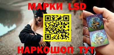 кокс Кингисепп