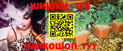 кокс Кингисепп