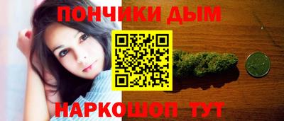кокс Кингисепп