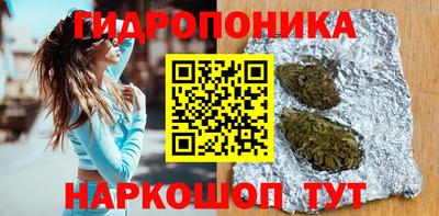спиды Кимры