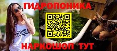 кокс Кингисепп