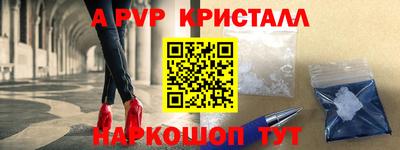 кокс Кингисепп