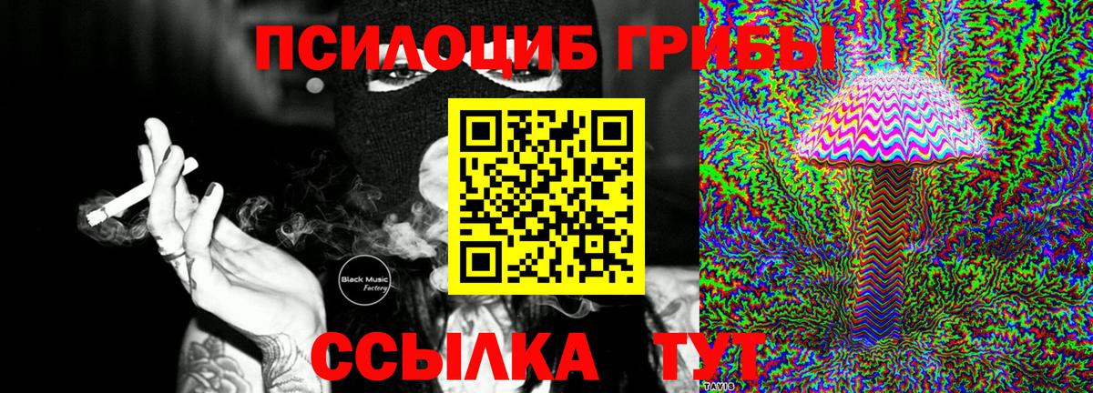 Псилоцибиновые грибы GOLDEN TEACHER  Вход с VPN  Буйнакск 