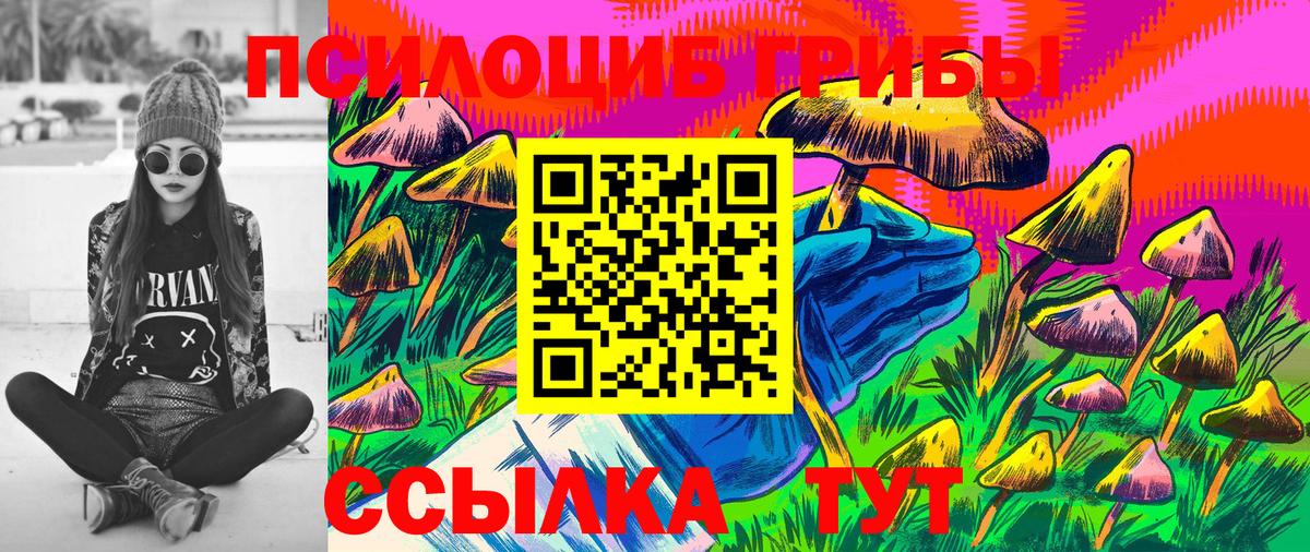 Галлюциногенные грибы Magic Shrooms Буйнакск